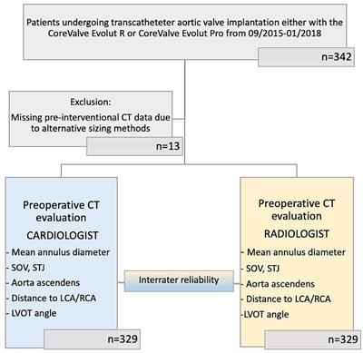 Multi-Slice Computed Tomography Analysis in Patients Undergoing Transcatheter Aortic Valve Replacement – Impact of Workflows on Measurement of Virtual Aortic Annulus and Valve Size